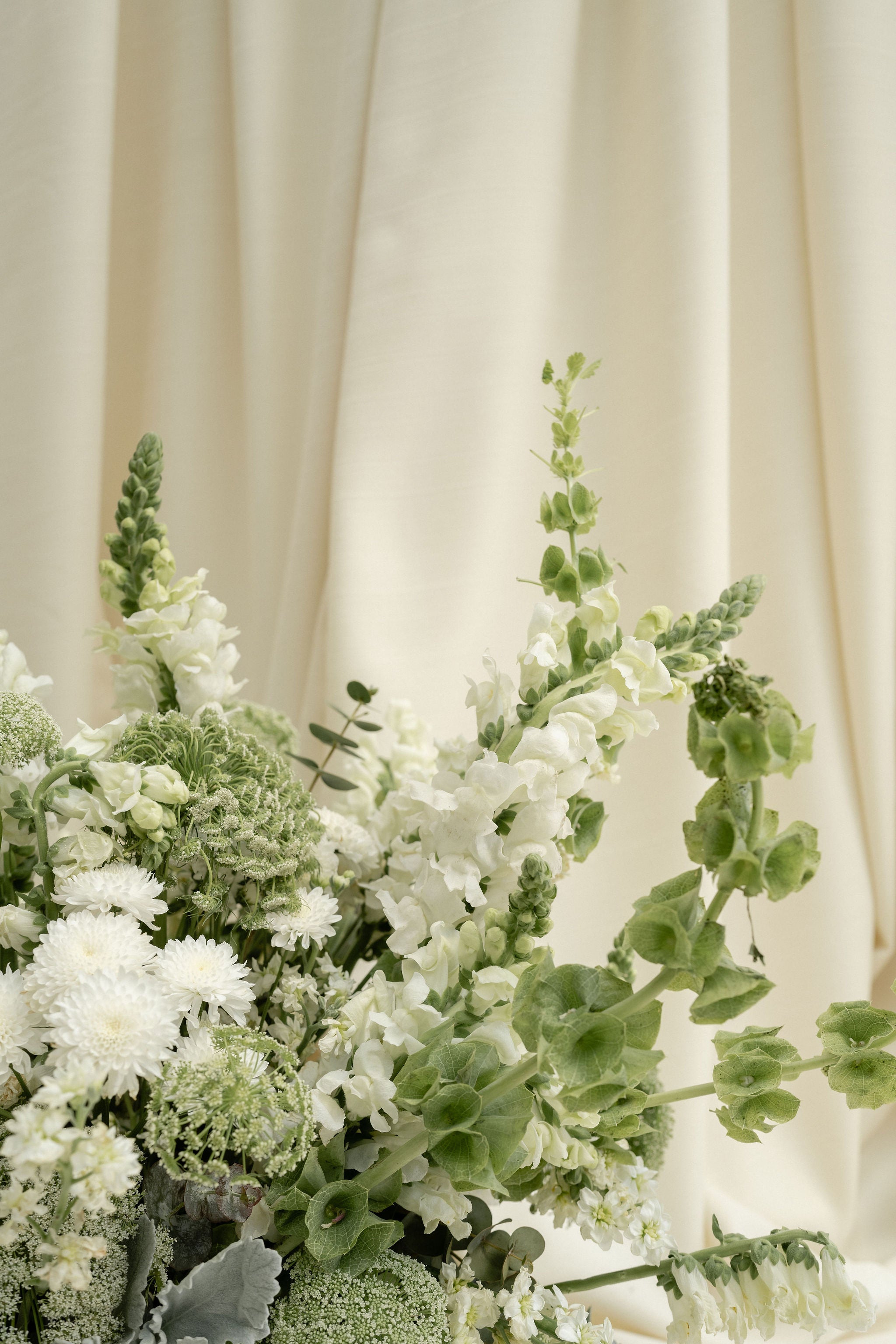 Brote flores Ciudad de México